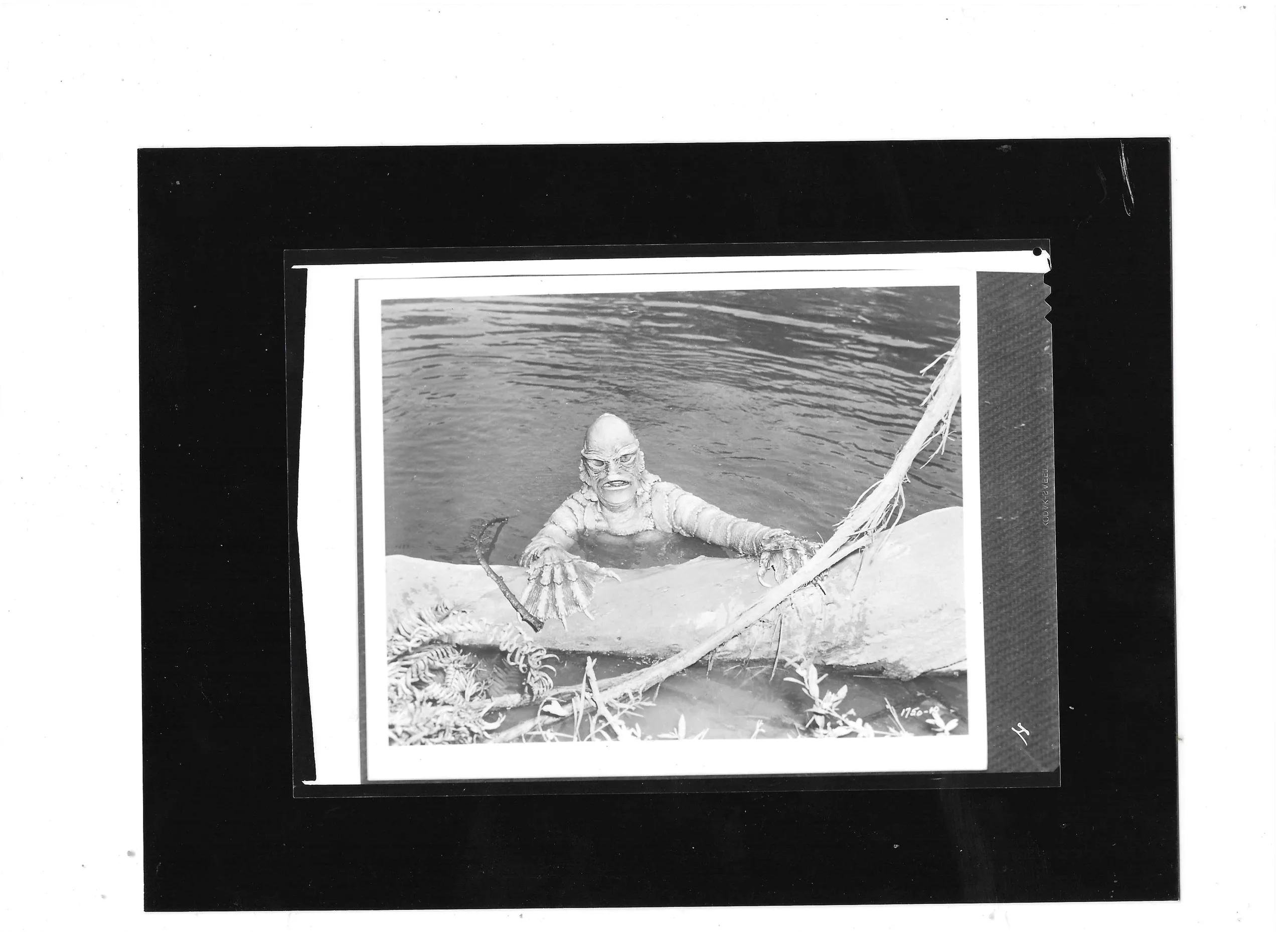 Photo 2026 08 12 192755
